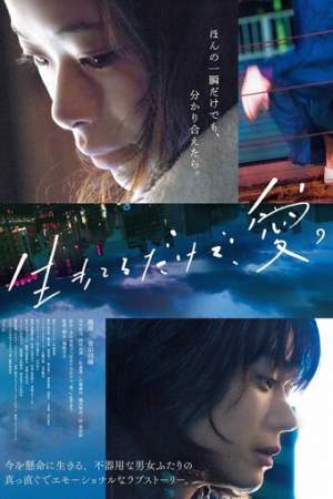 Просто живи. Любовь онлайн